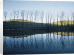 Franco Fontana art print - Lago di San Valentino, Emilia, 1979 poster