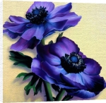 Rachel Deacon art print - Purple Anemones poster