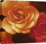 Brent Young art print - Rose Bloom I poster