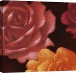 Brent Young art print - Rose Bloom II poster