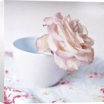 Louis Quail art print - Rose in Bowl poster