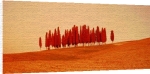 K. Krecichwost art print - Sunset, Tuscany poster