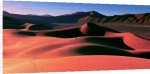 David Noton art print - The Namib Desert poster