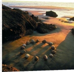 Martin Hill art print - Tide Cycle poster