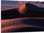David Noton art print - Tread Boldly, Namib Desert poster