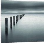 David Burdeny art print - Vanish poster