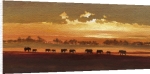 Jonathan Sanders art print - Wading elephants poster