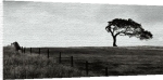 Ryuijie art print - Windswept Landscape poster