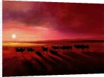 Jonathan Sanders art print - Zebu at Dusk poster