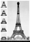 Maxi Posters art print