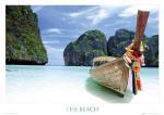Maxi Posters art print