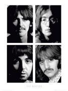 Celebrity Image art print