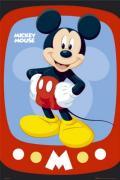 Maxi Posters art print