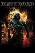 Maxi Posters art print