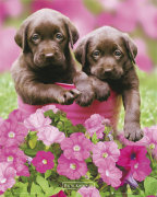 Mini Posters art print