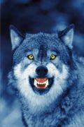 Maxi Posters art print