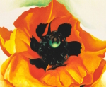 Georgia O'Keeffe art print