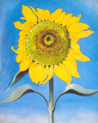 Sunflower art print