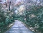 Diane Romanello art print