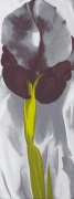 Georgia O'Keeffe art print