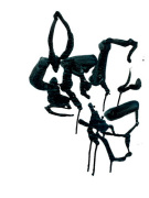 C�dric Chauvelot art print
