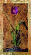Liz Jardine art print