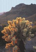Christophe Cassegrain art print