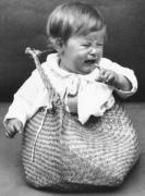 Babies Collection art print
