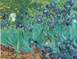 Vincent Van Gogh art print