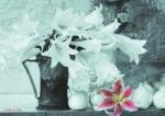 Floral Collection art print