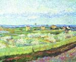 Vincent Van Gogh art print