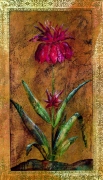 Liz Jardine art print