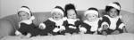 Babies Collection art print