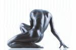 Howard Schatz art print