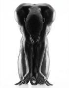Howard Schatz art print