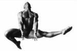 Howard Schatz art print