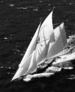 Veteran Boat Rally - Porto Cervo art print