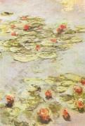 Claude Monet art print