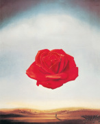 Salvador Dali art print