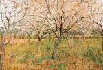 Vincent Van Gogh art print