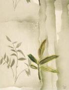 Muriel Verger art print