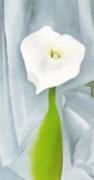 Georgia O'Keeffe art print