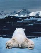 Art Wolfe art print