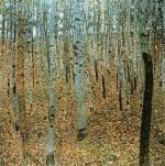 Forest of beeches art print