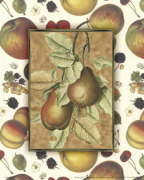 Anonymous art print