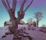 Maxfield Parrish art print