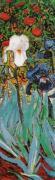 Vincent Van Gogh art print