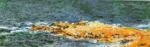 Claude Monet art print