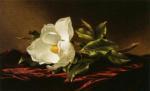 Martin Johnson Heade art print