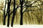 David Lorenz Winston art print